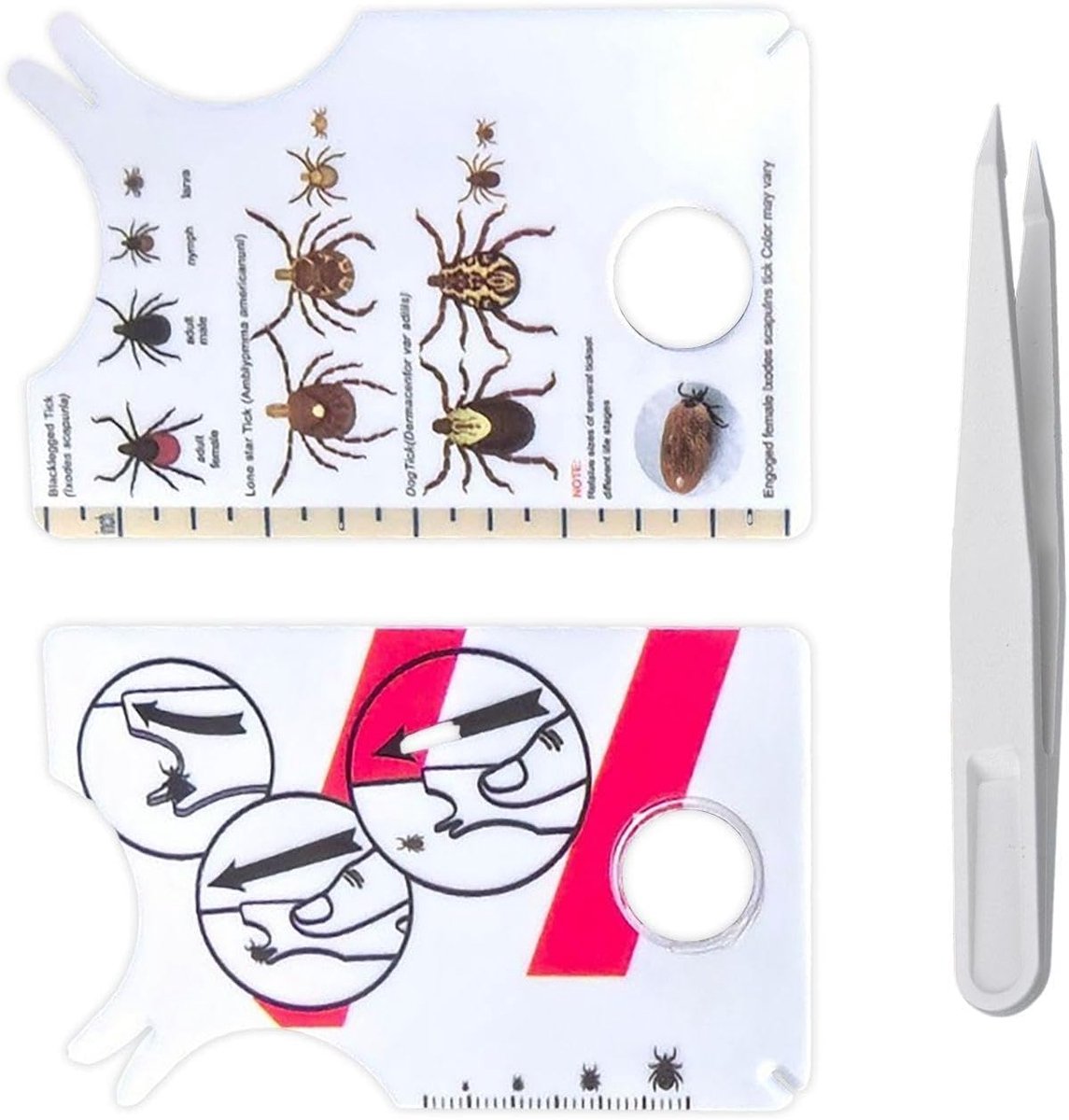 Tekenkaarten set 2 stuks met pincet en vergrootglas - Insectenkijker - Voor het vangen van teken - SnelShoppen