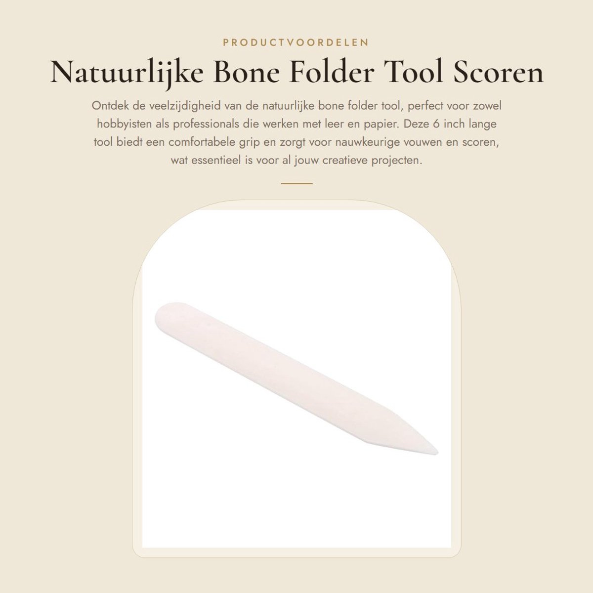 Dailygoods- Bone Folder - Natuurlijke Tool - 6 Inch Lengte - Voor Vouwen - Burinishing Randen - Geschikt voor Scrapbooking - Comfortabele Grip - Vouwtool
