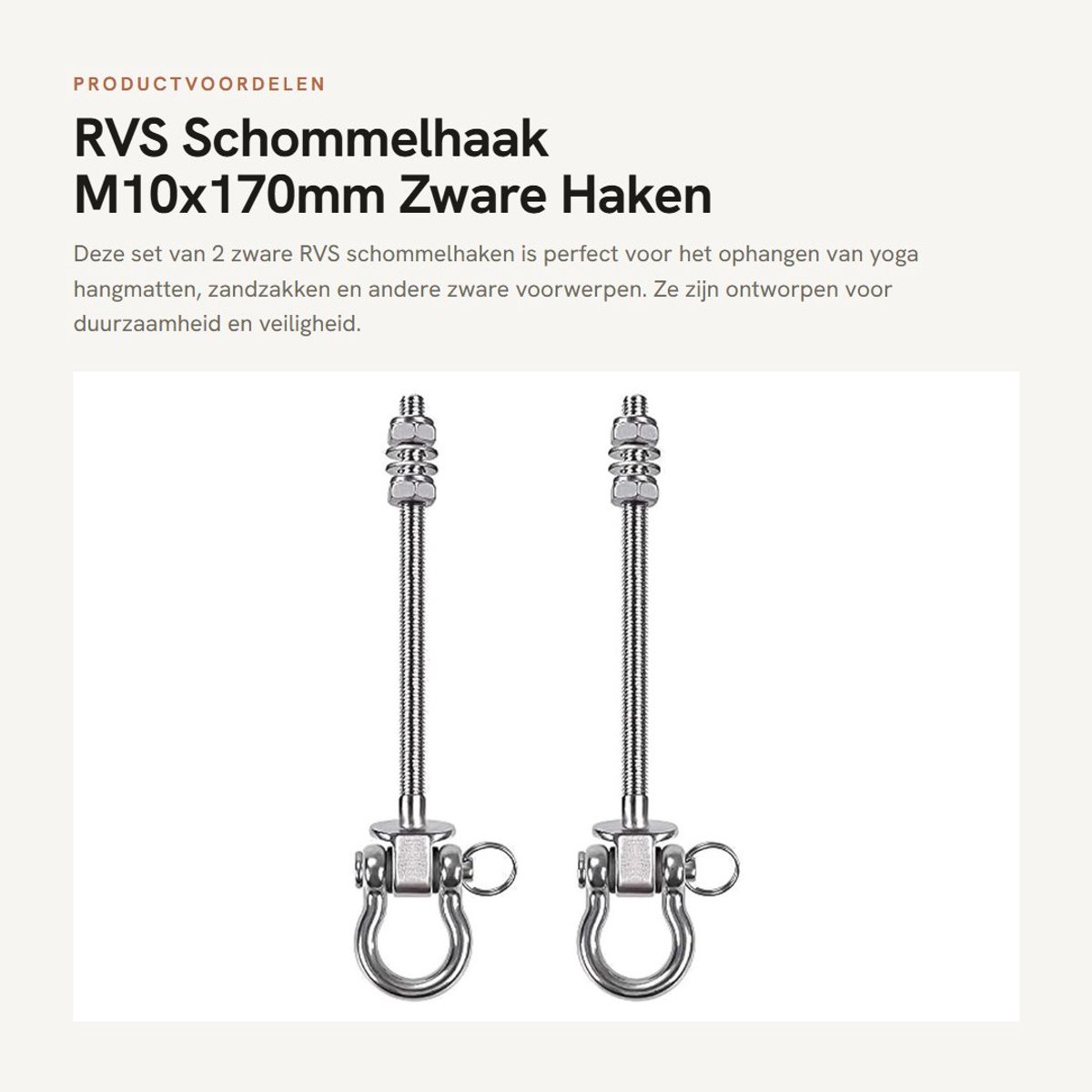 Dailygoods- Schommelhaak Zware Haken - M10x170mm - Anti-vastloopschroefdraad - Temperatuurbestendig - Roestvrij Staal - 2 Stuks - Hanghaak