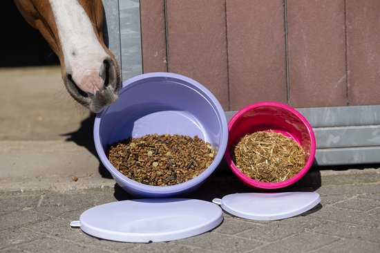 Paard reikt naar paarse voerbak met voer naast roze bak met hooi en deksels.