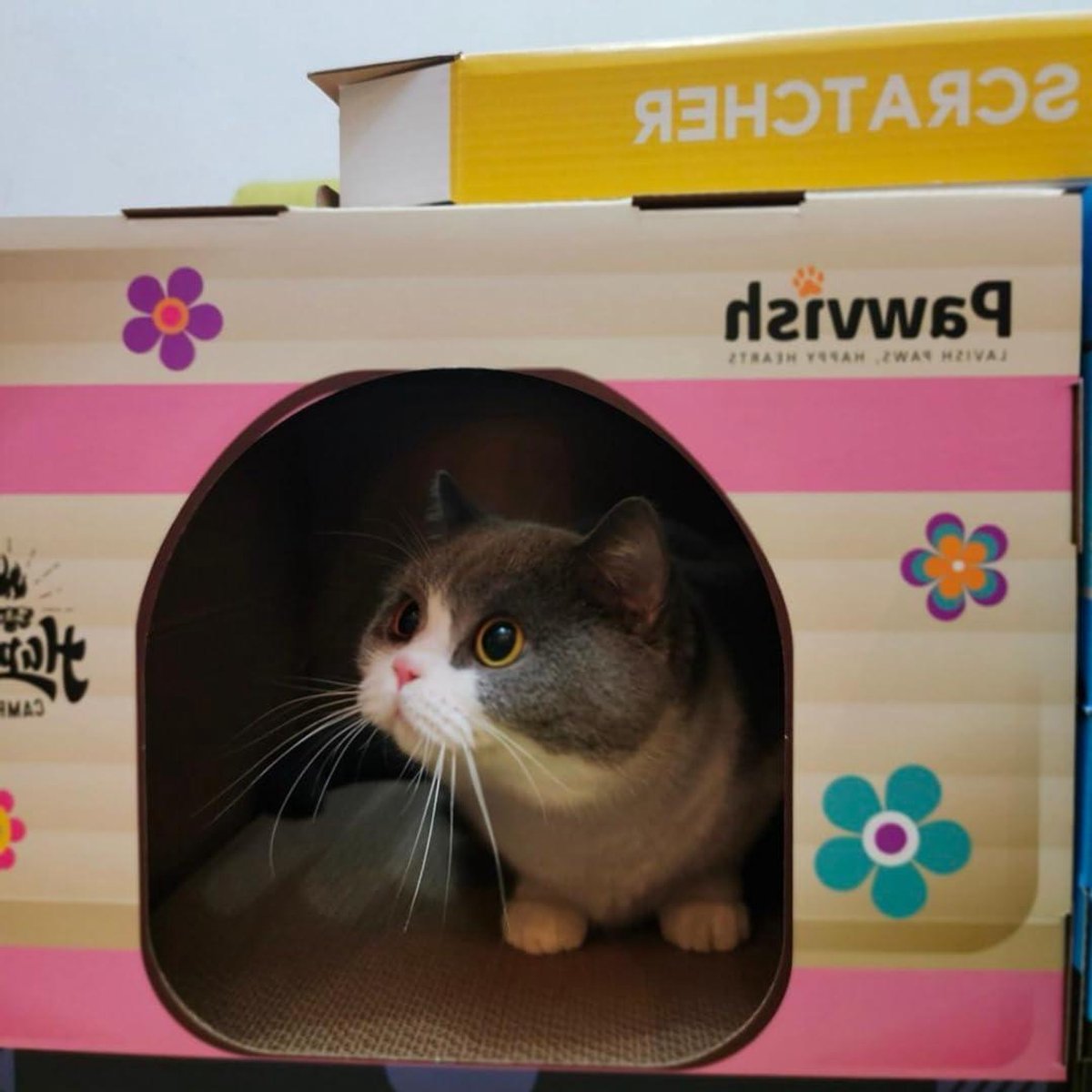 Kattenhuis met Krabpaal - Kattenmeubel Karton - Spelen en Ontspannen - Camper Design - 508 x 3556 x 508 cm