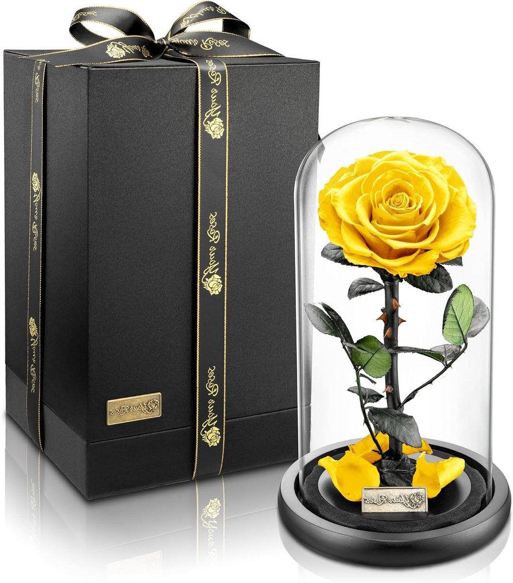 Roos in glas - Gedroogde bloem - Bewijs van liefde - Lange houdbaarheid - 125 x 125 x 255 cm