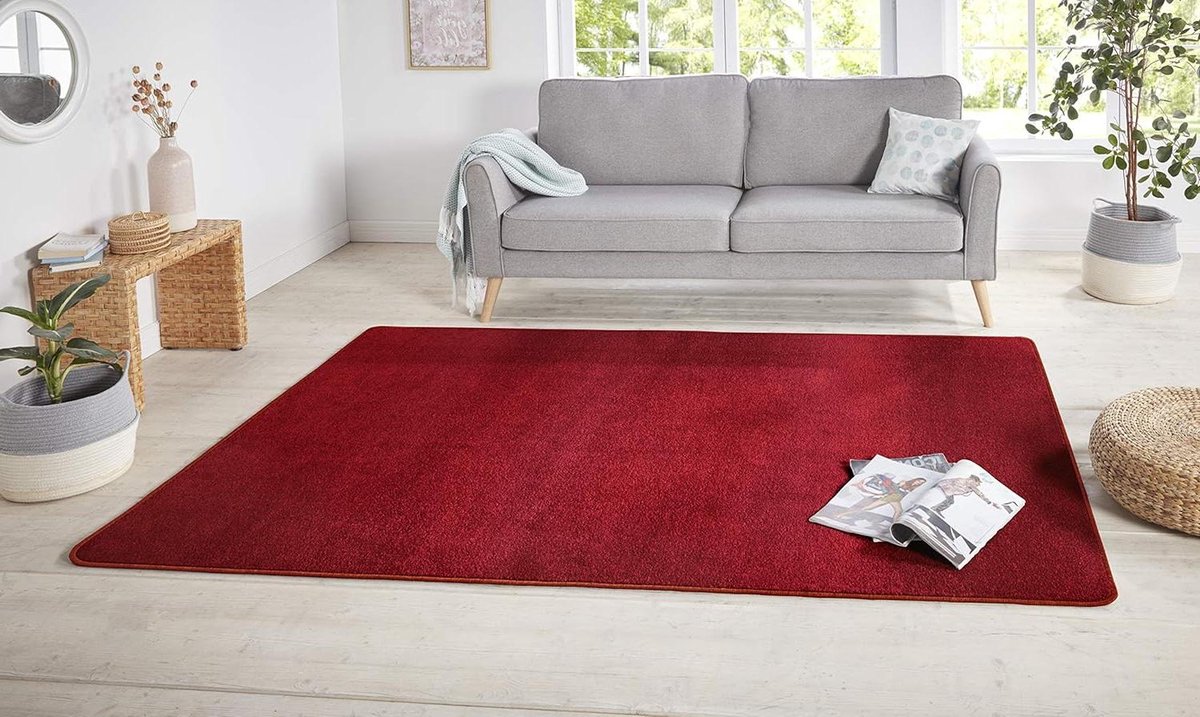 Vloerkleed - Moderne deken - Woonkamer sfeer - Geschikt vloerverwarming - 67 x 120 cm - Ro