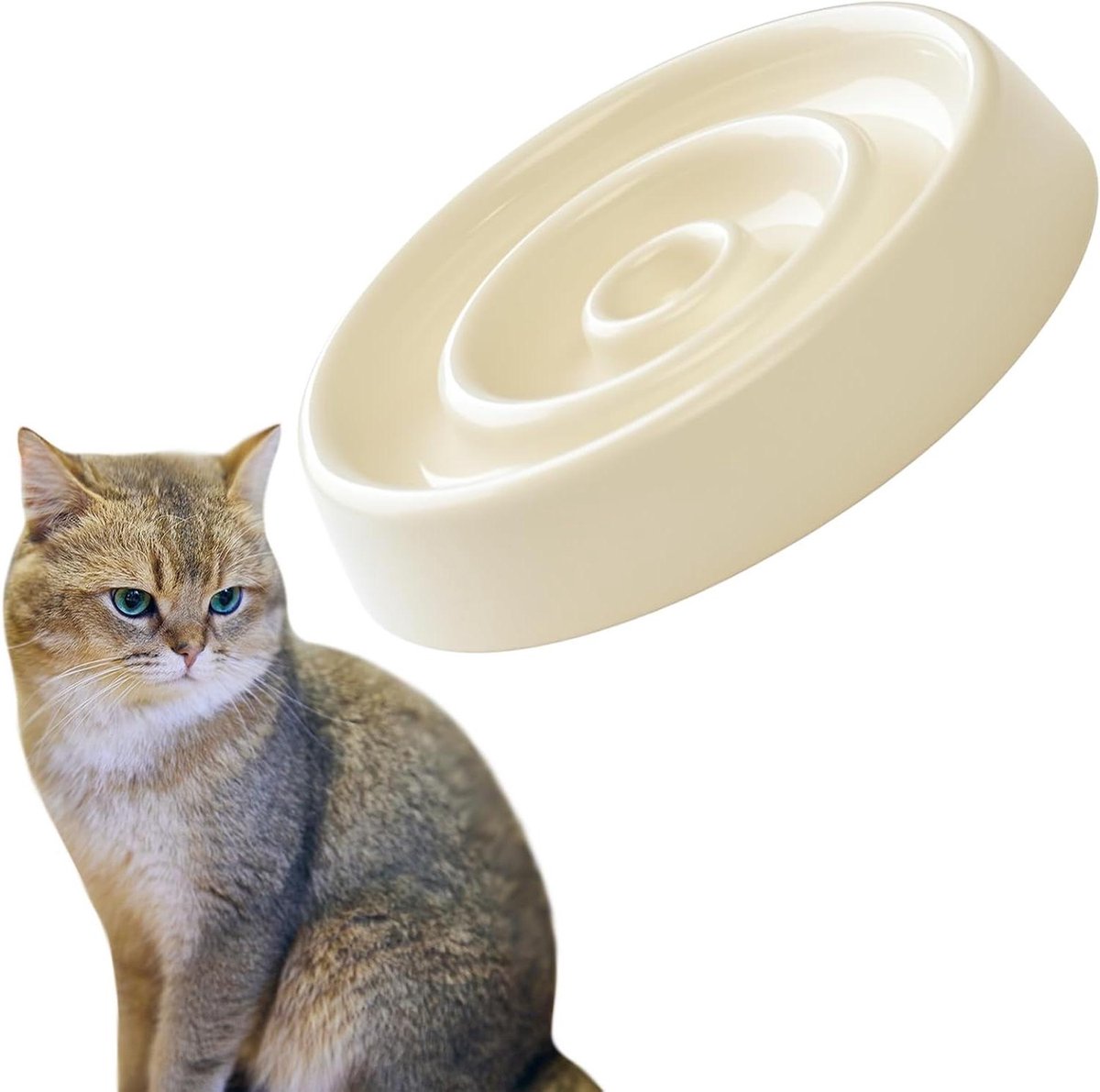 Katten Voerbak - Anti-braakbak - Gezond Eten Bevorderen - Keramiek en Melamine - 16 x 16 x 3 cm