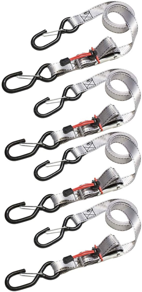 Famanu – Spanbanden met haken en gesp, grijs, 1,80 m x 25 mm, set van 4 voor het veilig vastzetten van lading