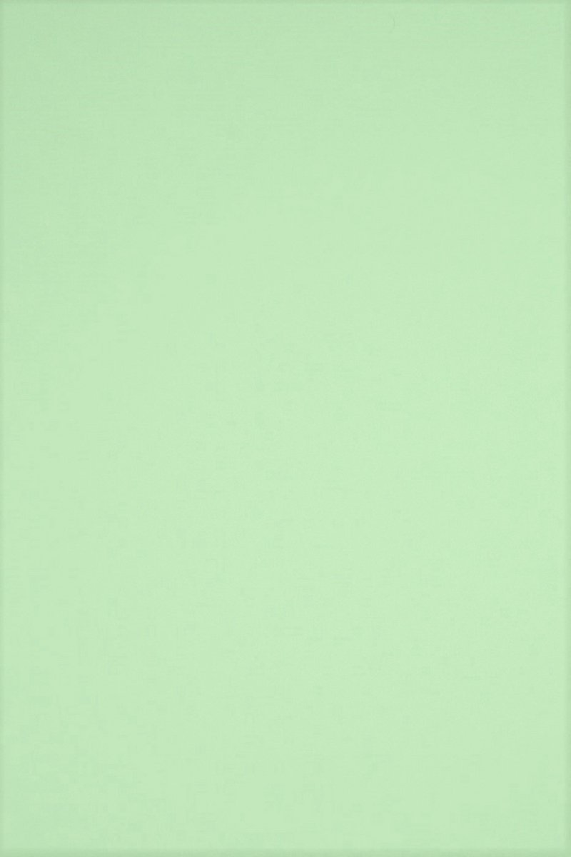 Netuno - groen glad gekleurd papier - A5 - 14,8 x 21 cm - 20 vellen - 230 gram - Rainbow Medium Green R75