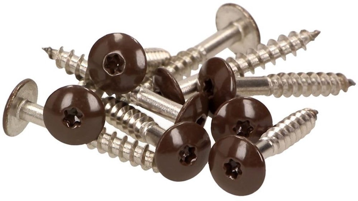 Wandschroeven - V2A - 4,8 x 25 mm - 100 Stuks