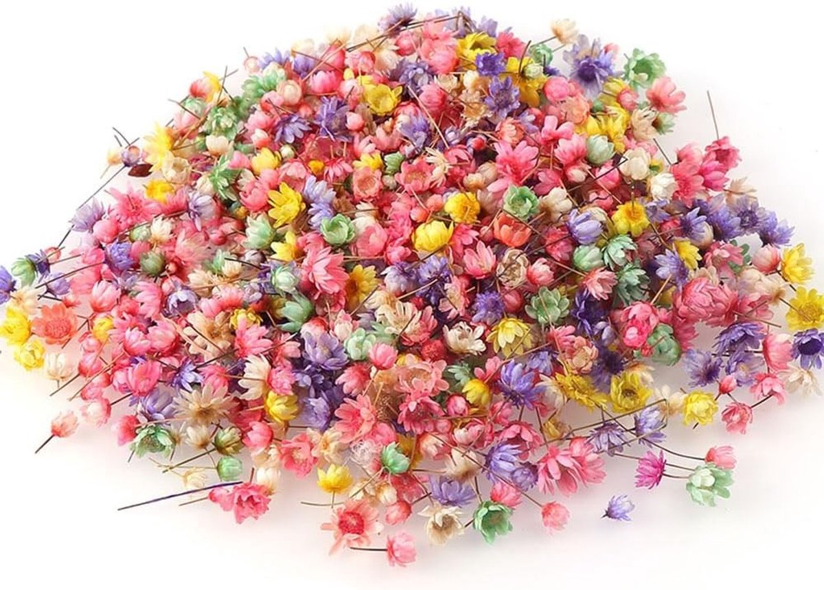 200 Stuks Gedroogde Bloemen voor Decoratie, Wenskaarten, Fotoalbums en Bruiloften, Creatieve Ambachten en Cadeauverpakking