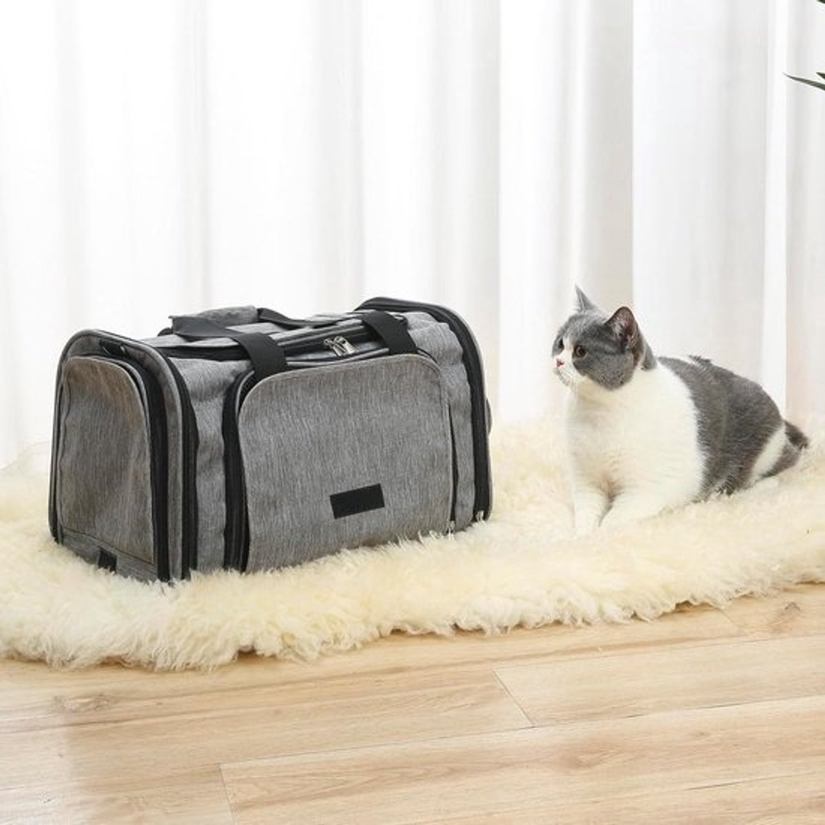 Huisdier Draagtas - Reistas Kat Hond - Reizen met Huisdier - Privacy Zonnescherm - 41x27x26 cm - Zwart
