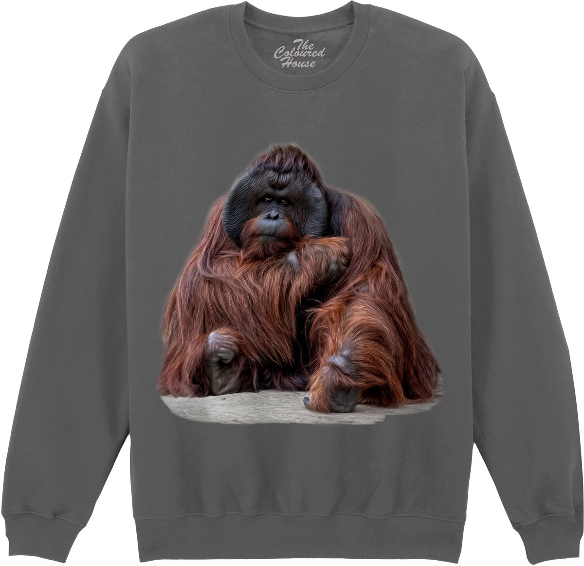 Orangoetan Wisdom Beyond Words - Orangutan The Coloured House Sweater M