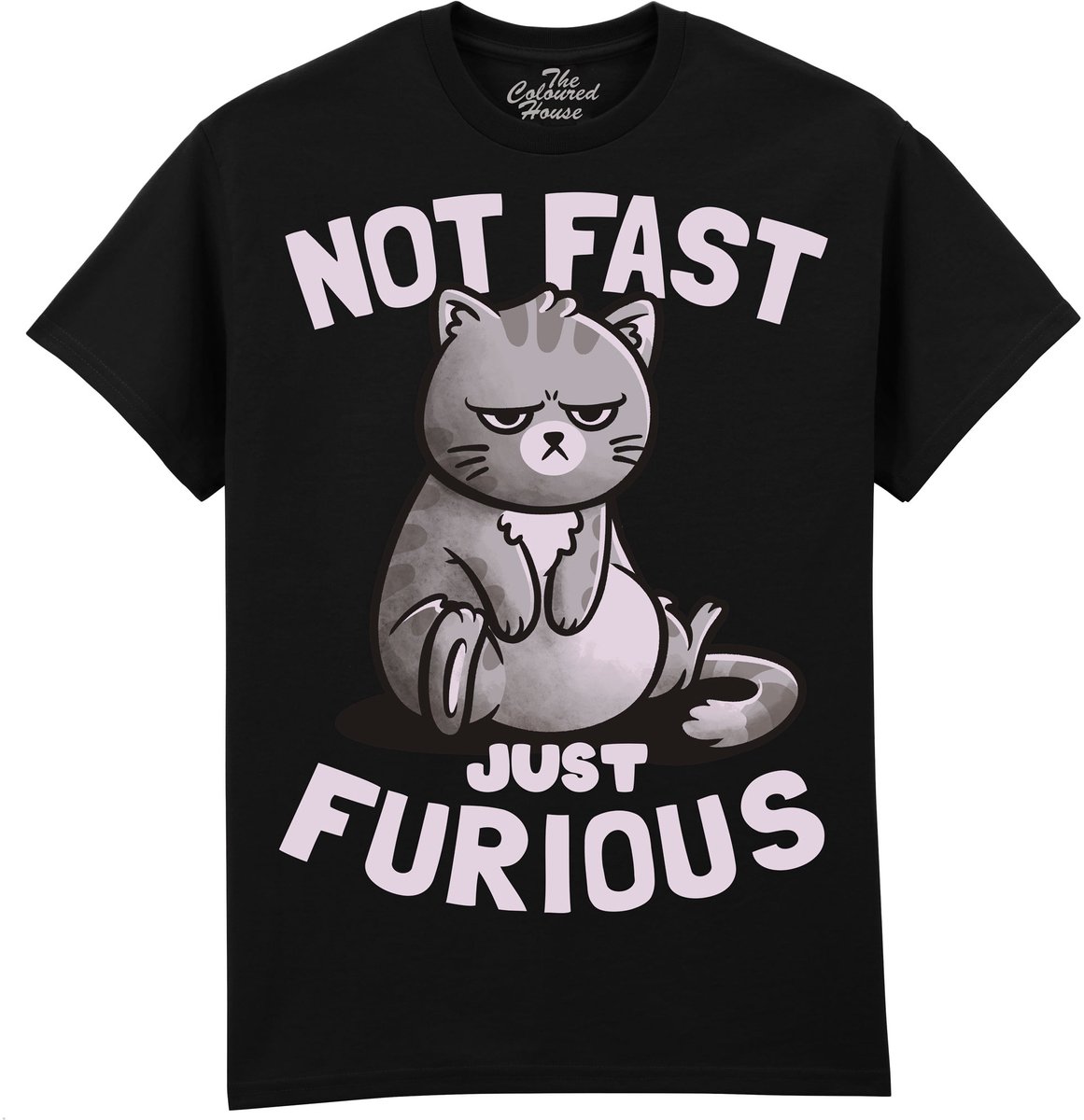 Kat Not Fast Just Furious The Coloured House T-shirt XL