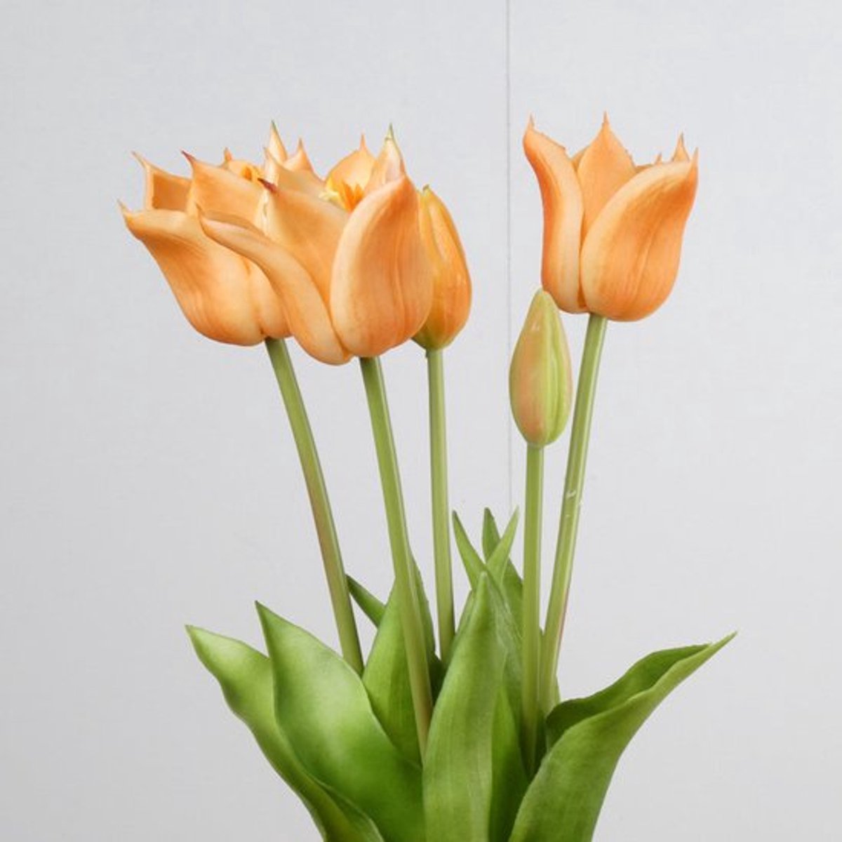 Tulpen boeket van 5 peach kunst tulpen-Real Touch Tulip Bundle x5