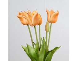 Tulpen boeket van 5 peach kunst tulpen-Real Touch Tulip Bundle x5