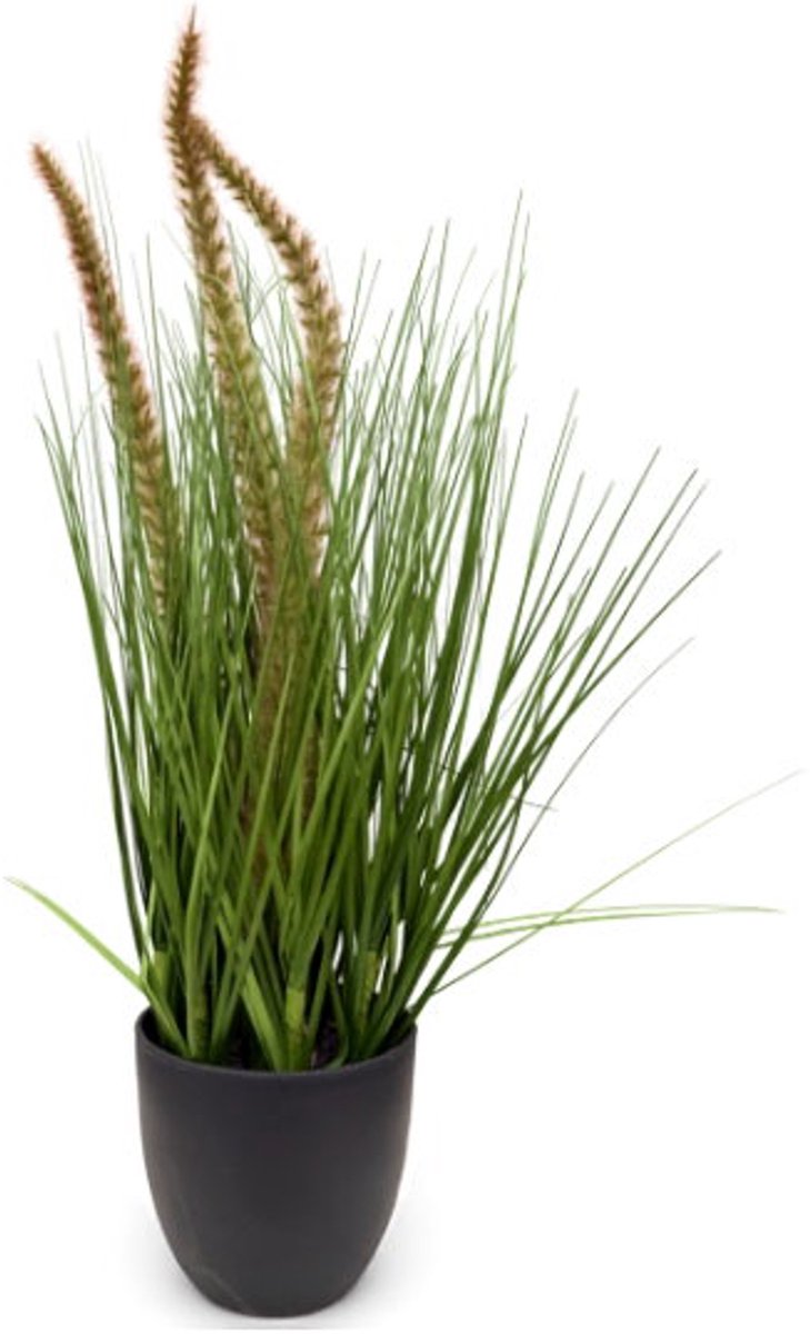 Pennisetum siergras in pot H 50 cm kunstplant Oosterik Home