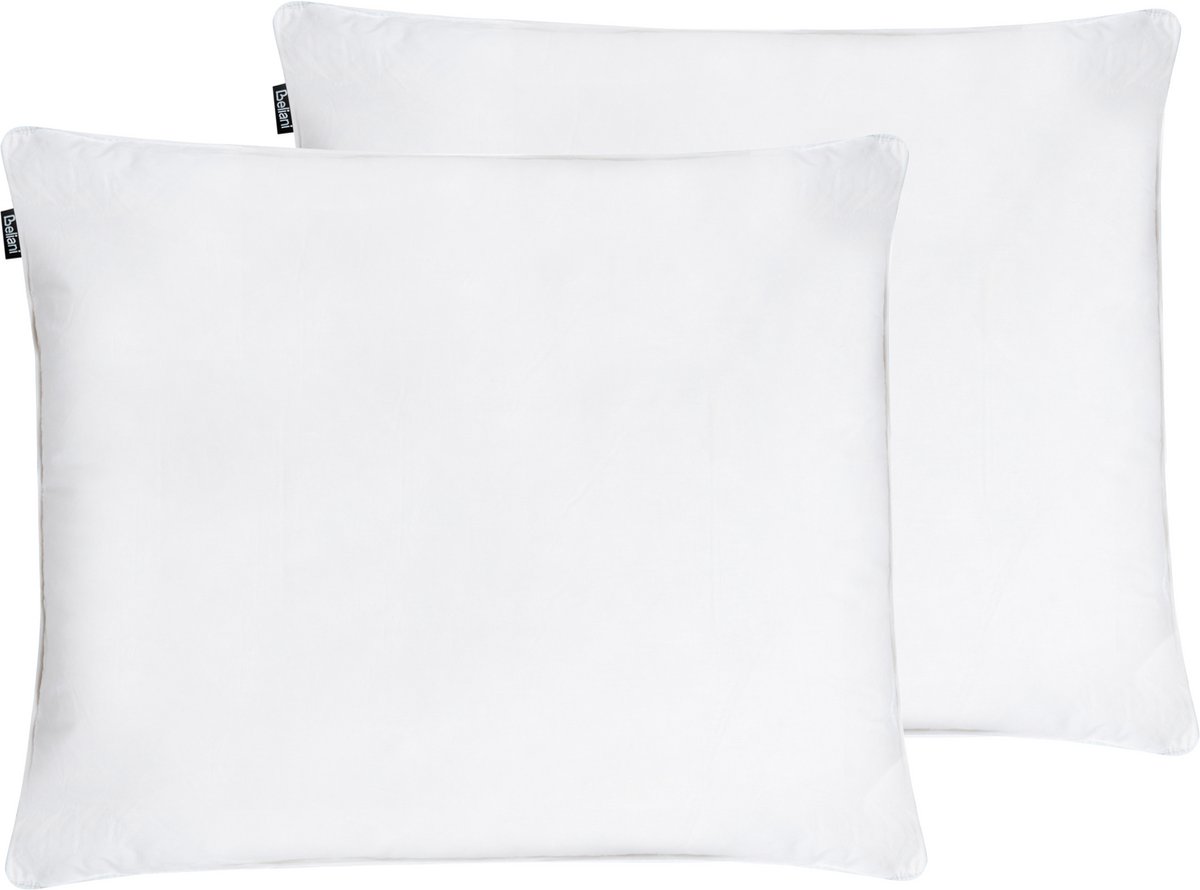 VIHREN - Kussen set van 2 - Wit - 50 x 60 cm - katoen