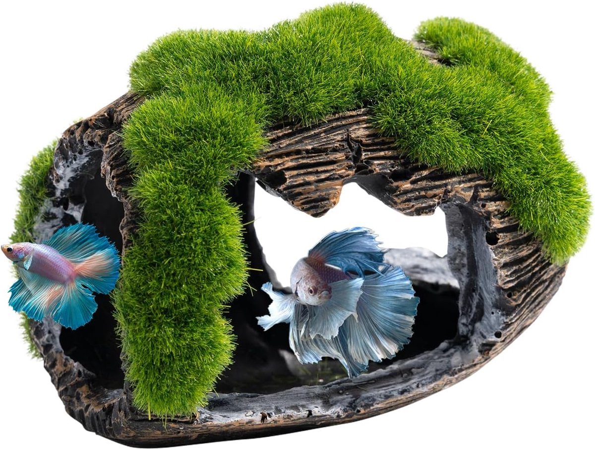 Mini aquariumdecoratie voor betta's - 8,5 × 6,5 × 7 cm - Hars - Aquariumaccessoire - Geschikt voor kleine vissen en garnalen - Veelzijdig en realistisch