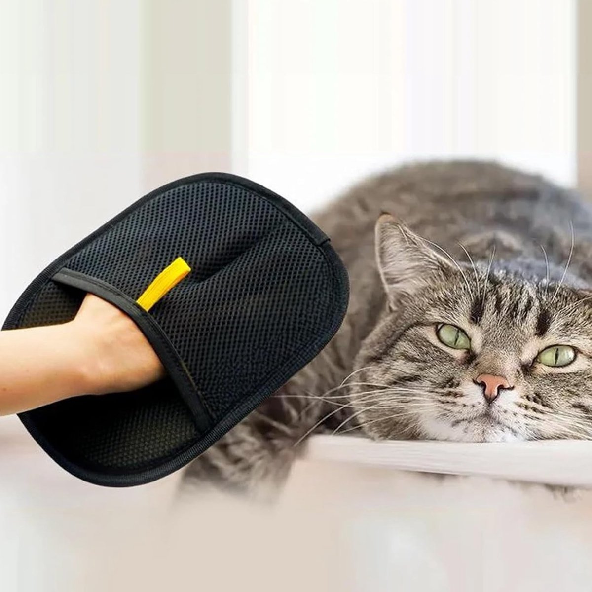 Haarverwijderhandschoenen voor Huisdieren - Effectieve Lint Handschoenen voor Katten en Honden - 2 Stuks voor Eenvoudige Verzorging