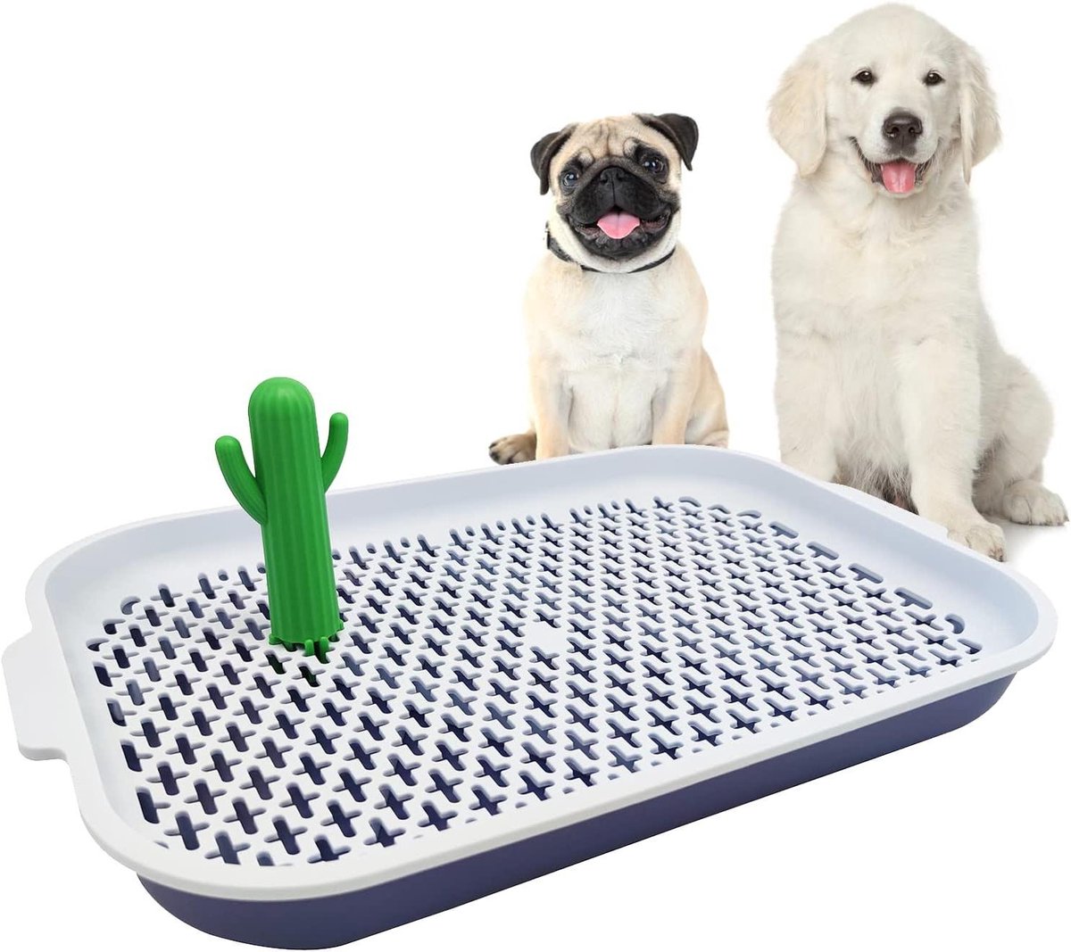 Honden Toiletbak - Hondenplasbak Plasbak - Zindelijkheidstraining Hond - Dubbele Bodem - L 63.5 x 46.7 cm - Model 1