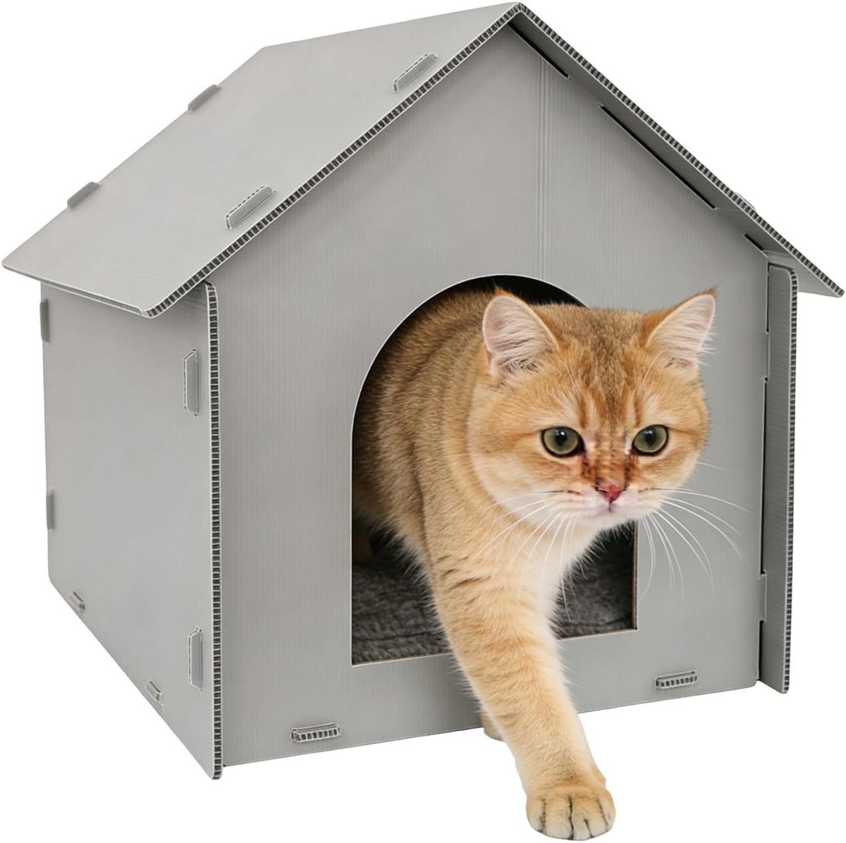 Kattenhuis Buiten - Huisdierentent - Bescherming Weer - Dubbel Waterdicht - 46 x 53 x 42 cm - Vilt