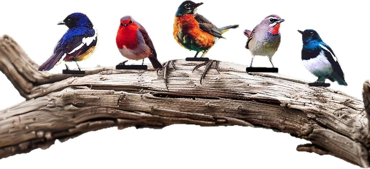 Metalen Vogels Decoratie - Tuindecoratie Vogels Metaal - Buitenruimte Verfraaien - Levendige 2D Metaalkunst - 5 Stuks - Kleurrijk