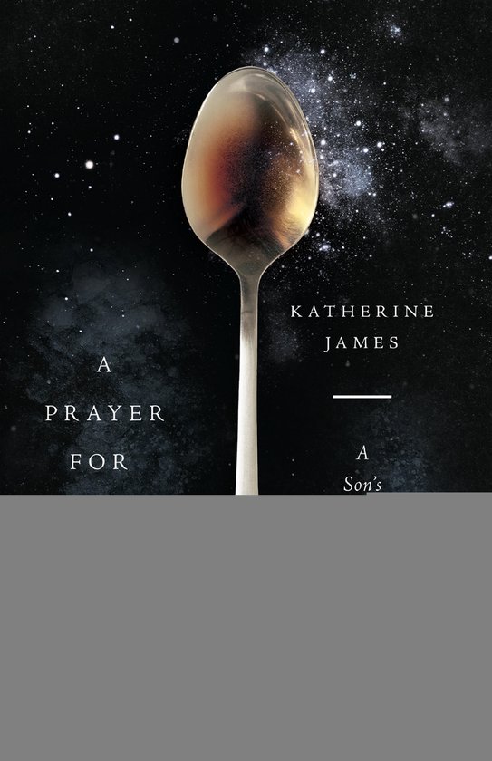 Boekomslag met een zilveren lepel tegen een sterrenhemel, titel: A Prayer for Orion door Katherine James.