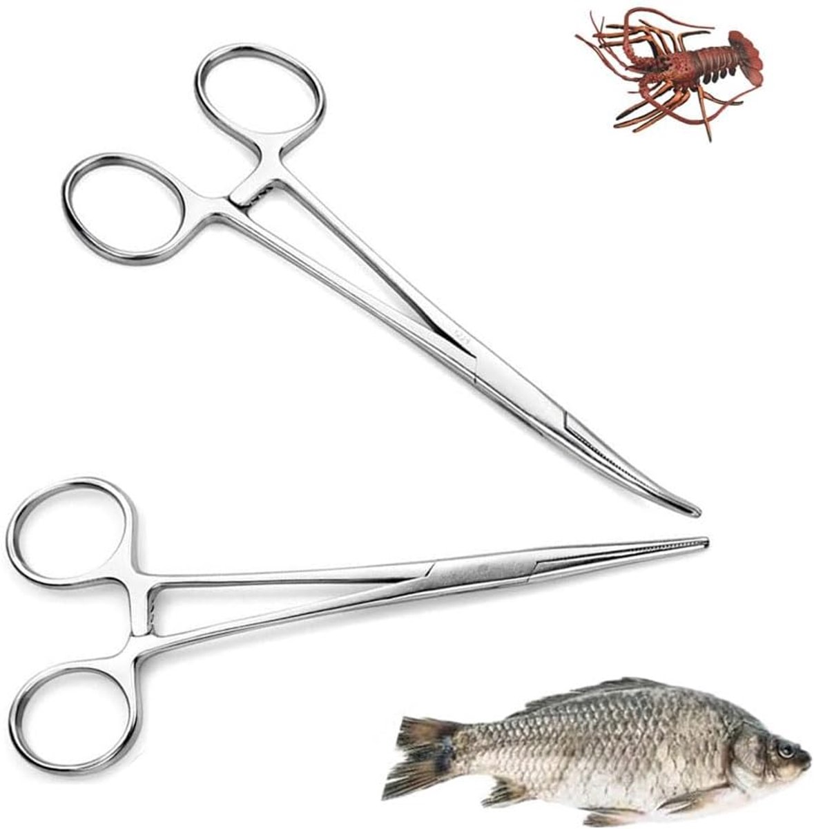 2 stuks piercingtangset, 13 cm arteriële klem, zelfvergrendelende piercingtang, vistang, hengeltang, roestvrij staal, geschikt voor vissen, katten- en hondenpincet (recht + gebogen)