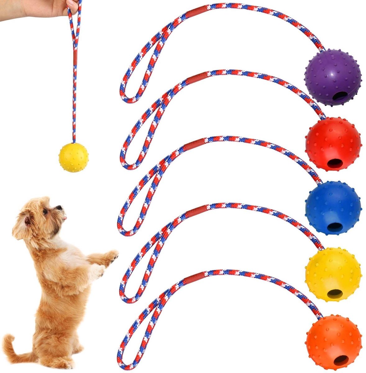Omgoods - 5 Stuks Hondenspeelgoed met Touw voor Training en Spel