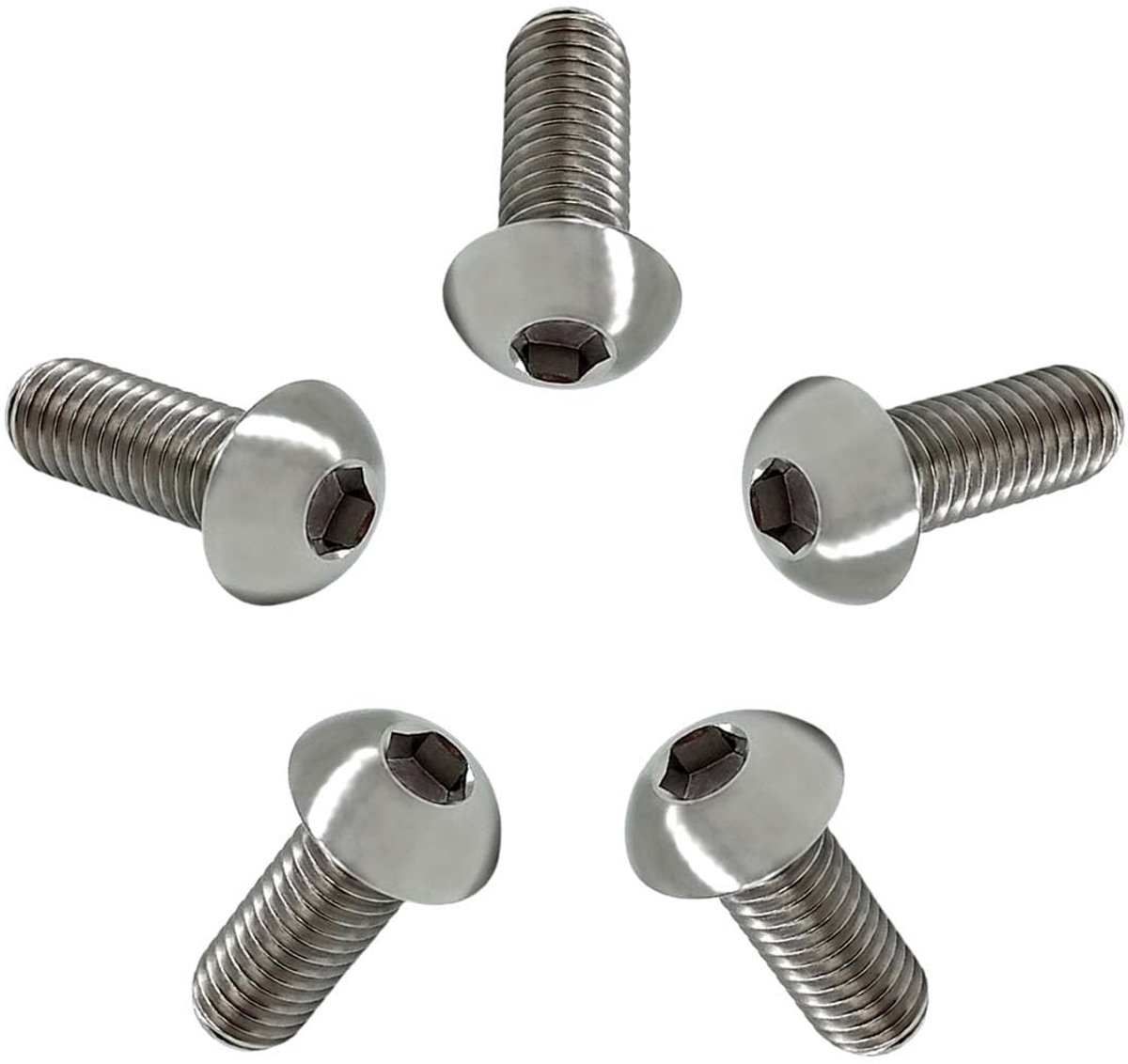 Omgoods - Titanium Hex Schrauben Set M6x20mm - 5 Stuks, Volledige Draad