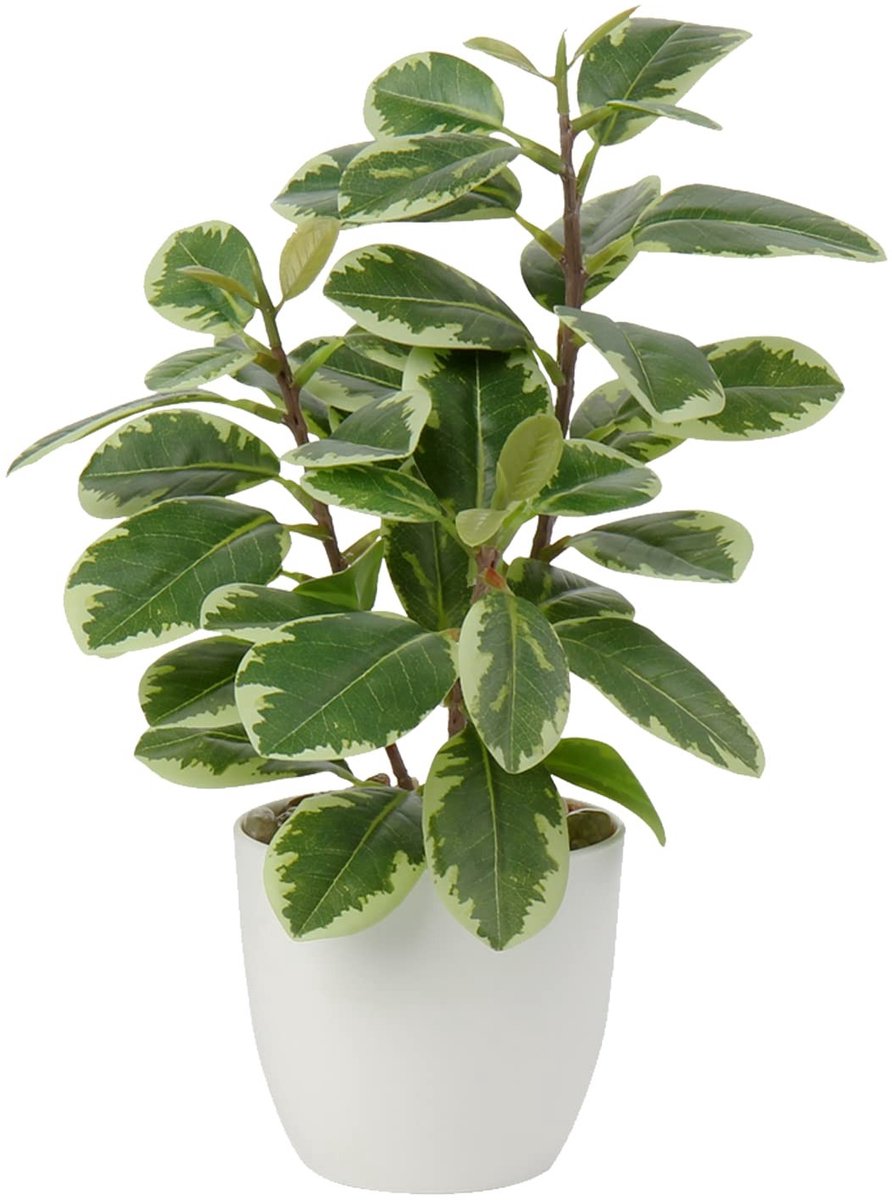 Omgoods - Kunstplant Camelia in Pot - Decoratieve Nepplant voor Thuis en Kantoor