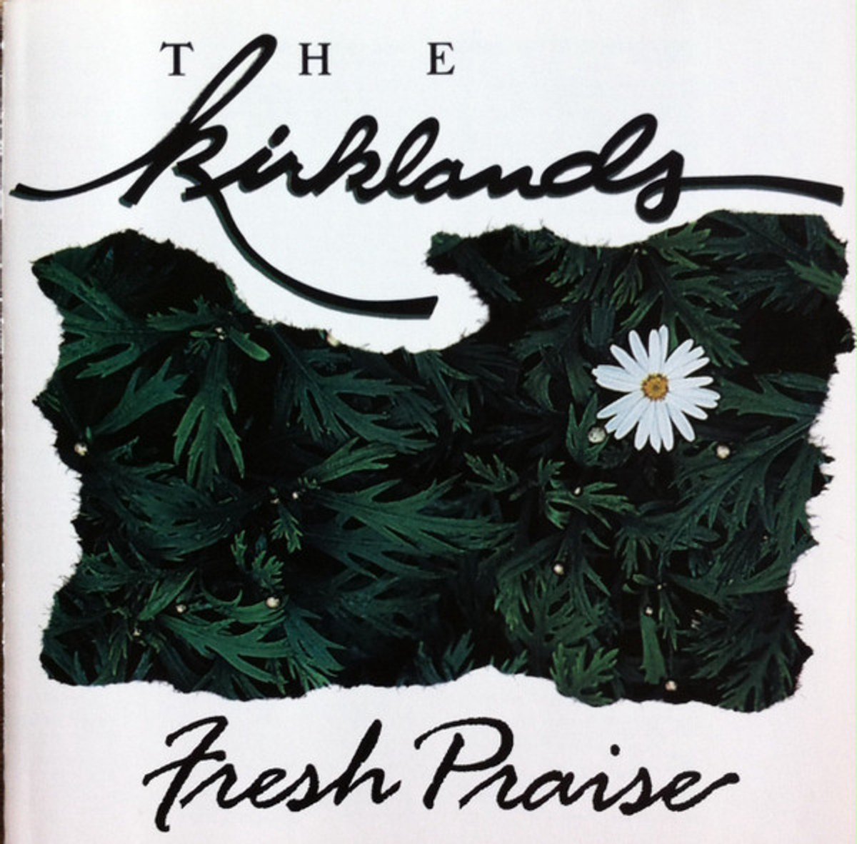 Fresh Praise