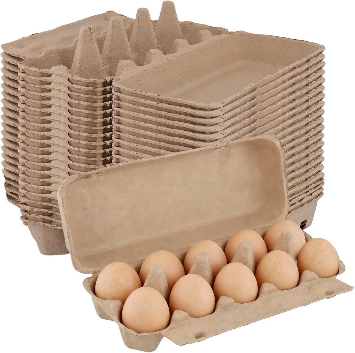 Eierdozen, 10 stuks, karton, eierdozen, eierdozen, 10 eieren