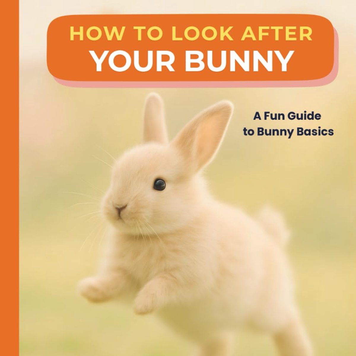 to Look After Bunny: A Sweet Pet Care Book Bunny Owners