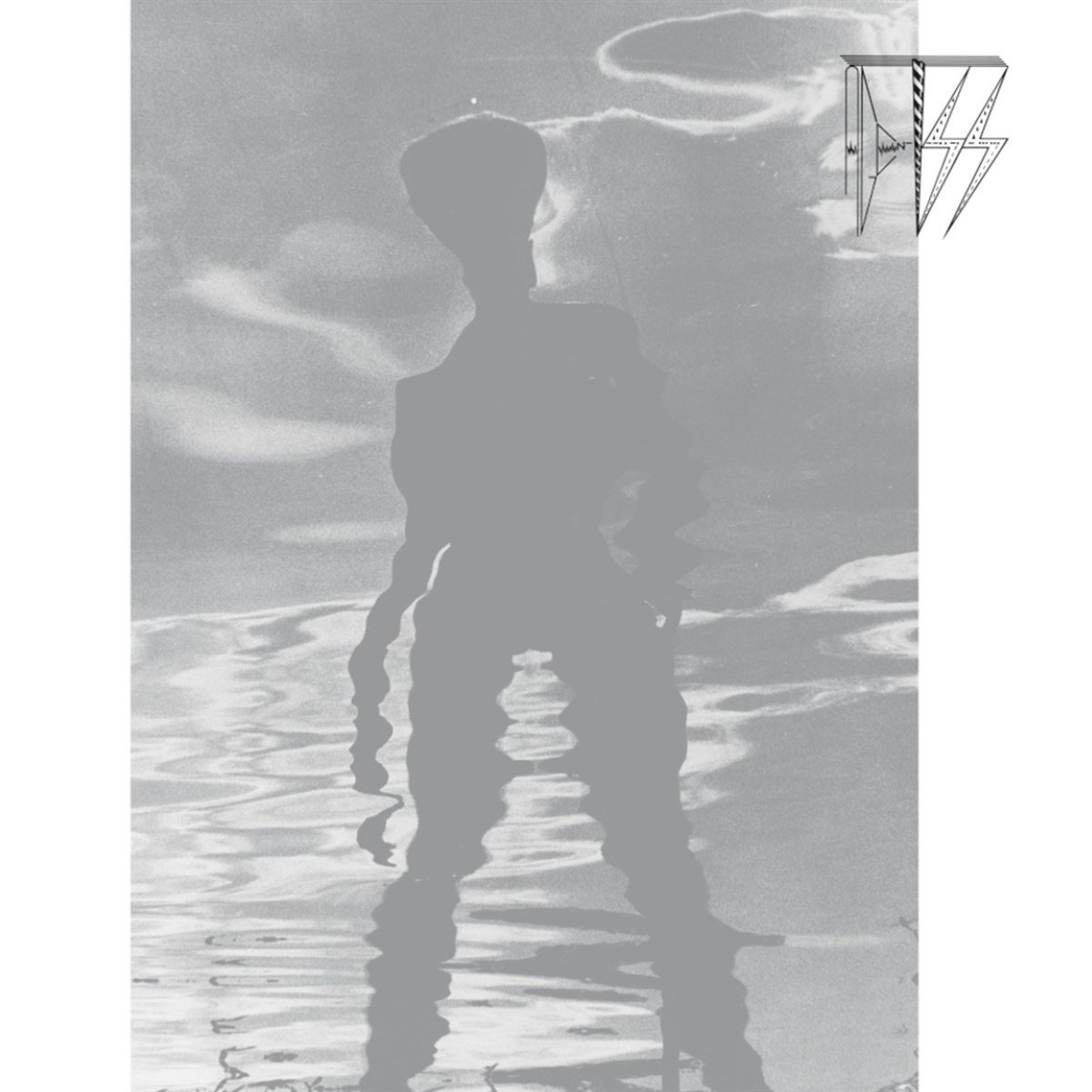 Agentss - Agentss (LP)