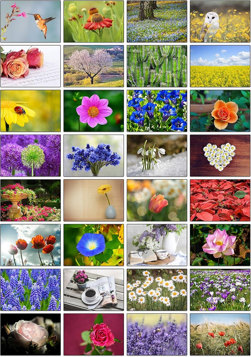 Verschillende bloem foto lege wenskaarten