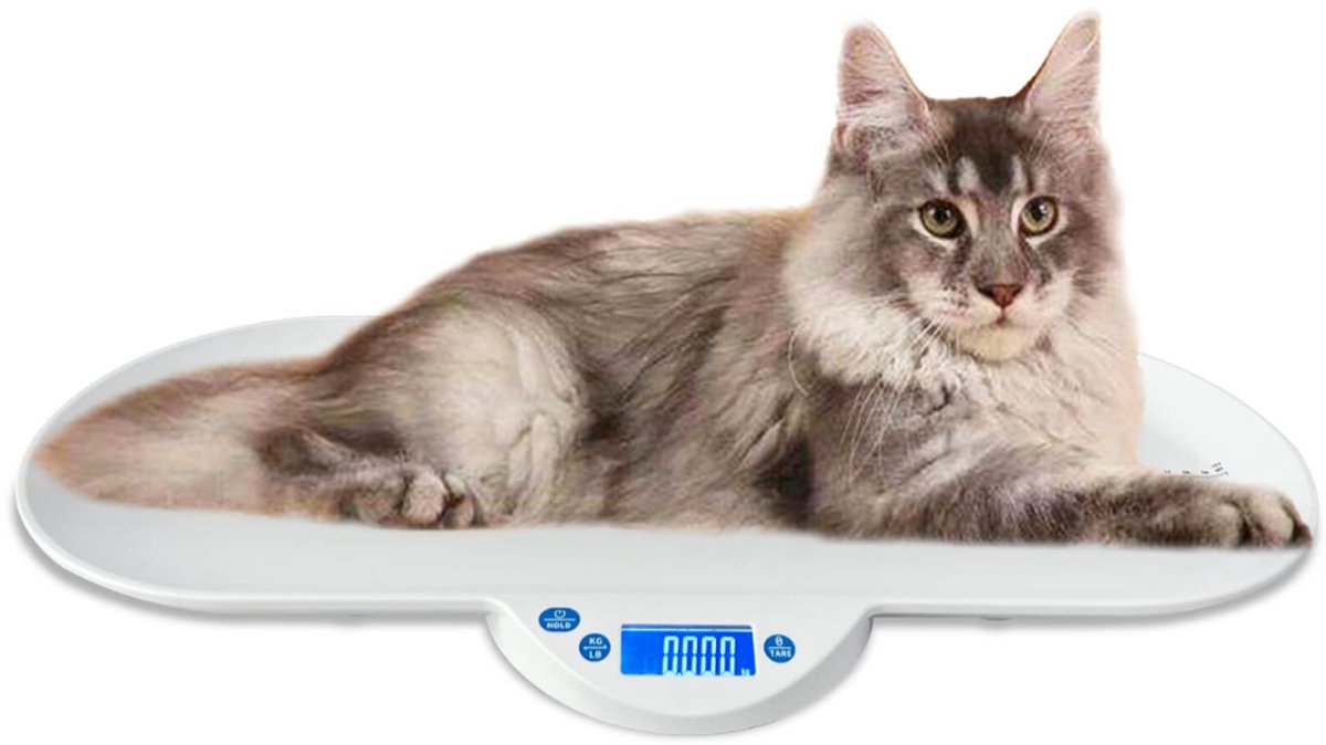 QUOVO® Weegschaal - Personenweegschaal multifunctionele elektronische weegschaal voor baby's kittens en puppy's - Wit - 66cm x 34cm x 6cm