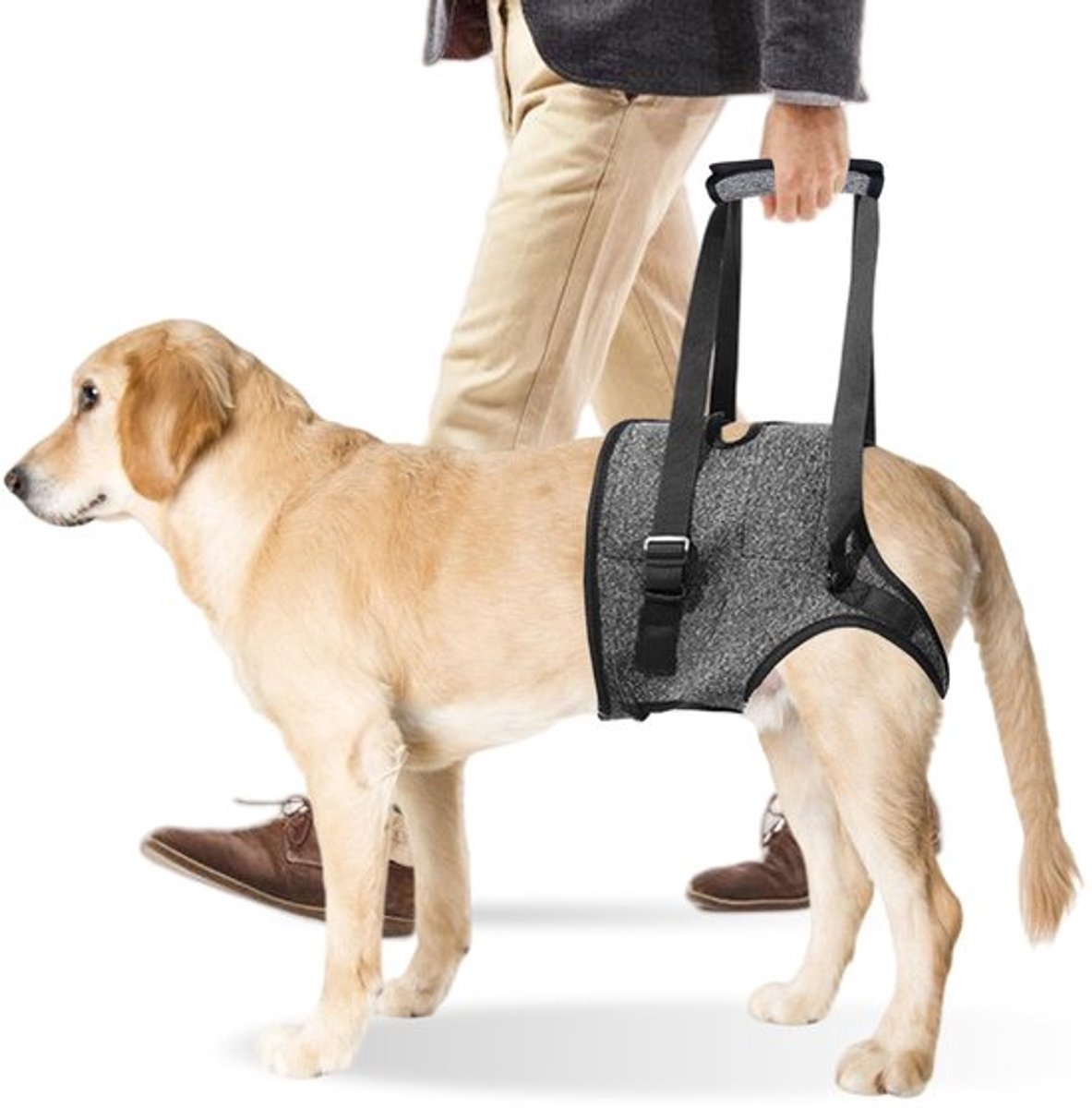 Draaghulp Hond Draagharnas Hond Lussen: Achterpoten Met Handvat, Verstelbare Loopsteun Voor Gewonde Gehandicapte Kleine Middelgrote Honden (L)