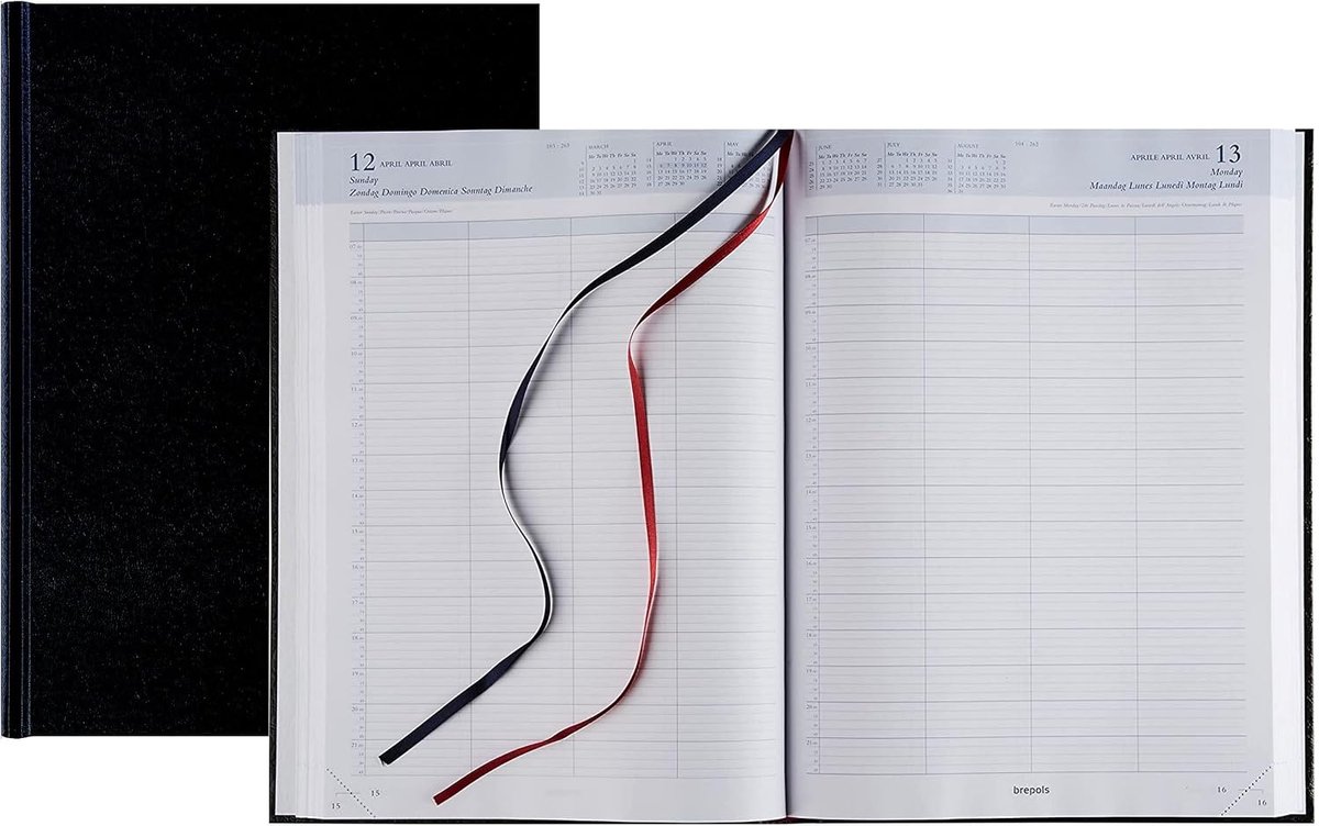 Bremax 1 Civil 2023 day planner 1 day per page 4 users per day A4 + adhesive tape Blumie (Black) - ShopVlot