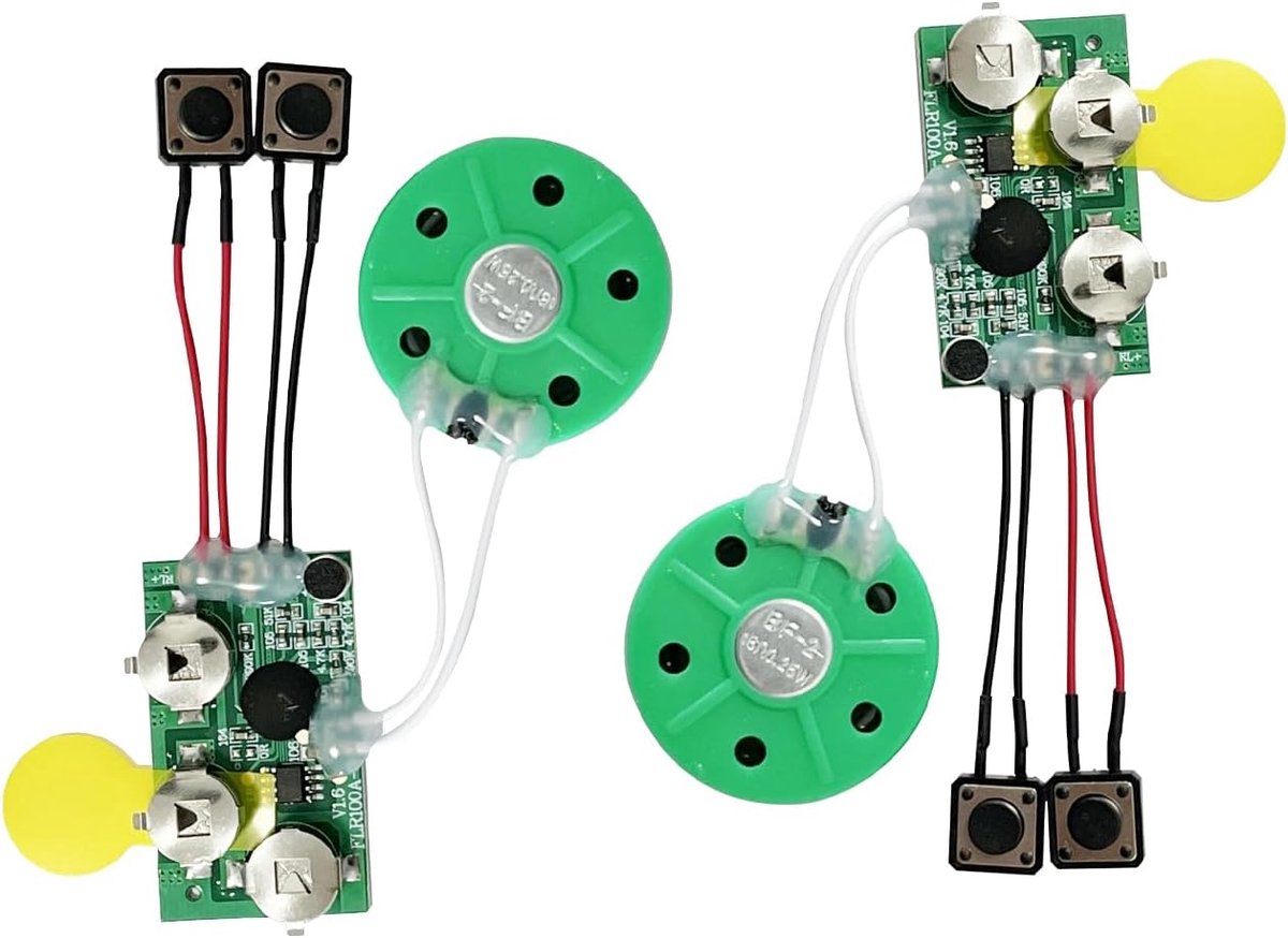 Geluidchip module 2 stuks - 120 seconden opnametijd - met lichtsensor - voor DIY wenskaarten en creatieve cadeaus - ShopVlot
