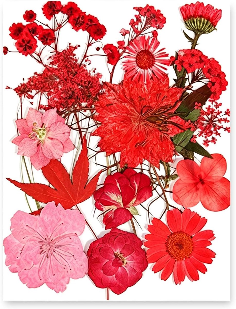 Geperste bloemen gedroogde bloemen - echte rode gemengde bloemblaadjes - natuurlijk - perfect voor sieraden maken - ShopVlot