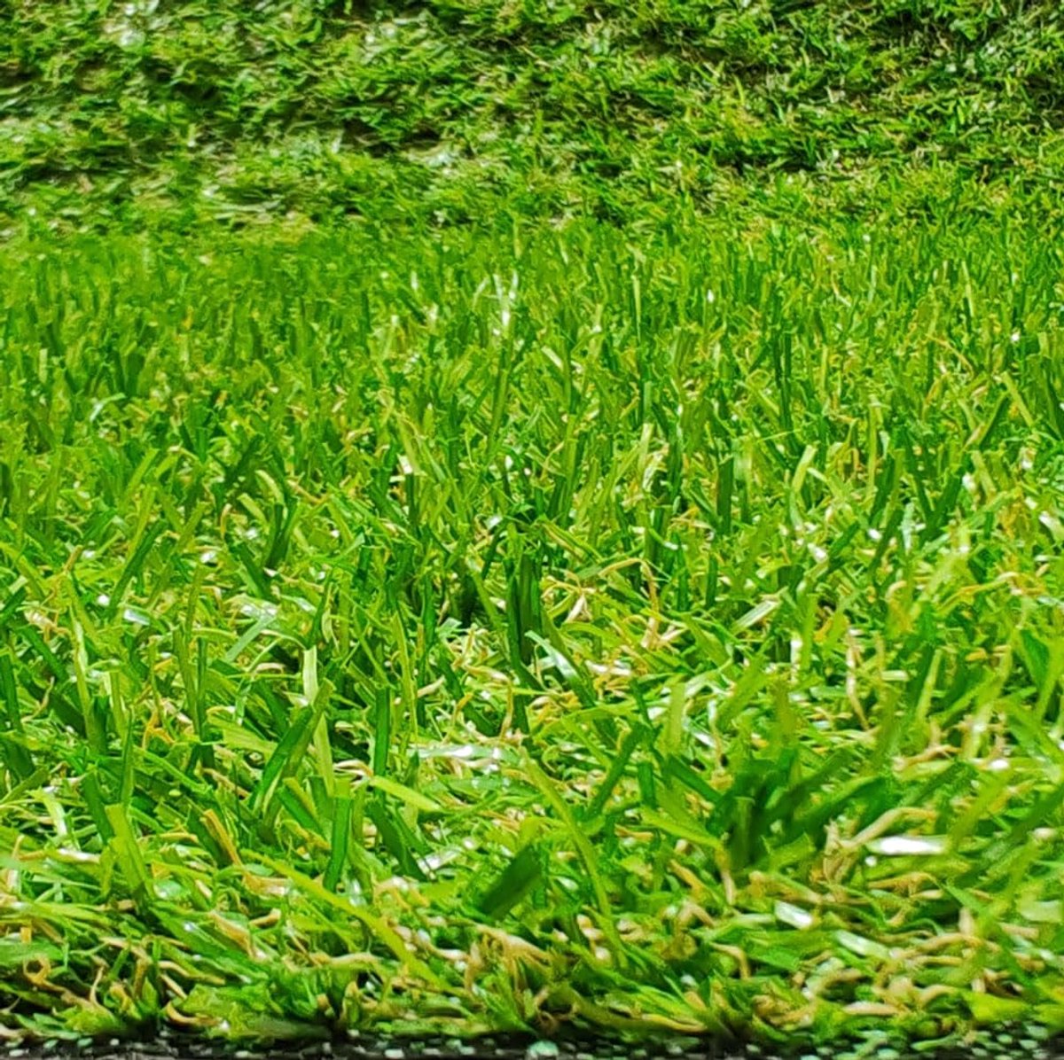 Kunstgras tapijt 100 x 100 cm - 20 mm hoogte - uv-bestendig - perfect voor terras of tuin - ShopVlot