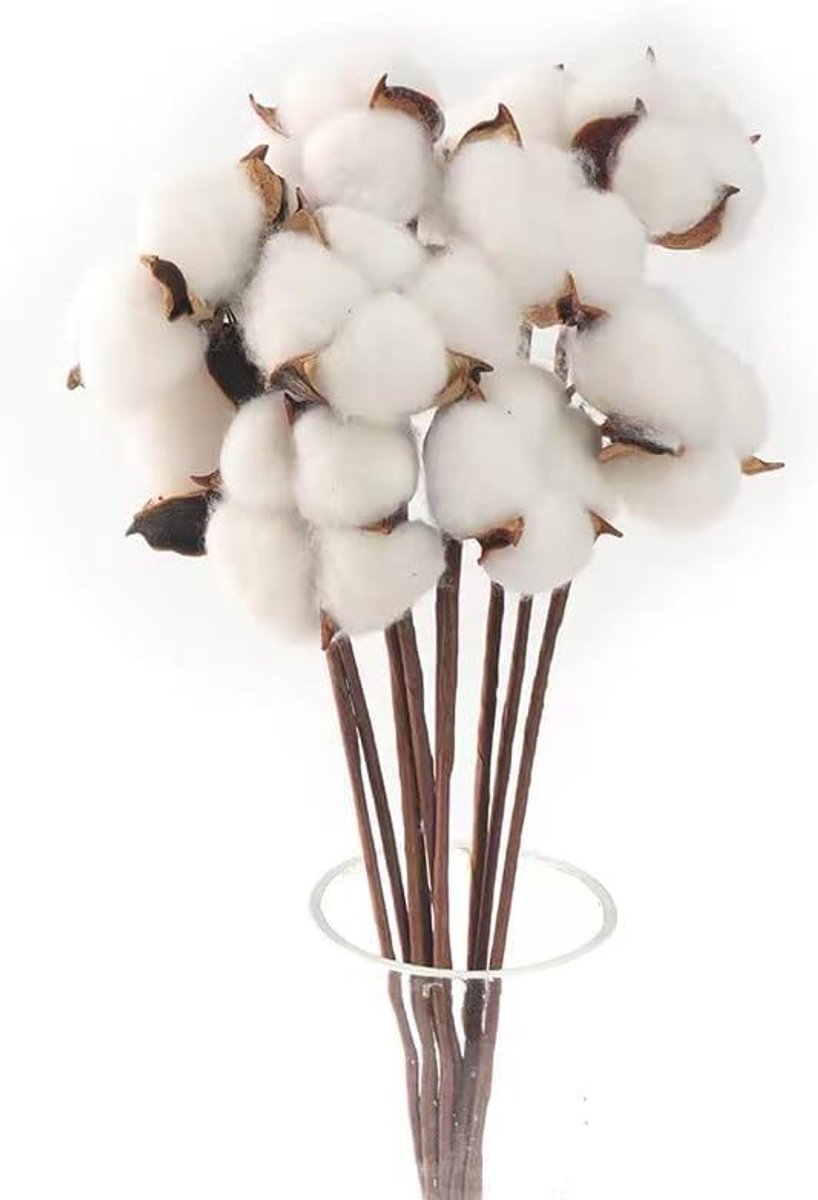 Katoen takken wit katoen deco - 10 stuks gedroogde bloemen - natuurlijke charme - perfect voor decoratie - ShopVlot
