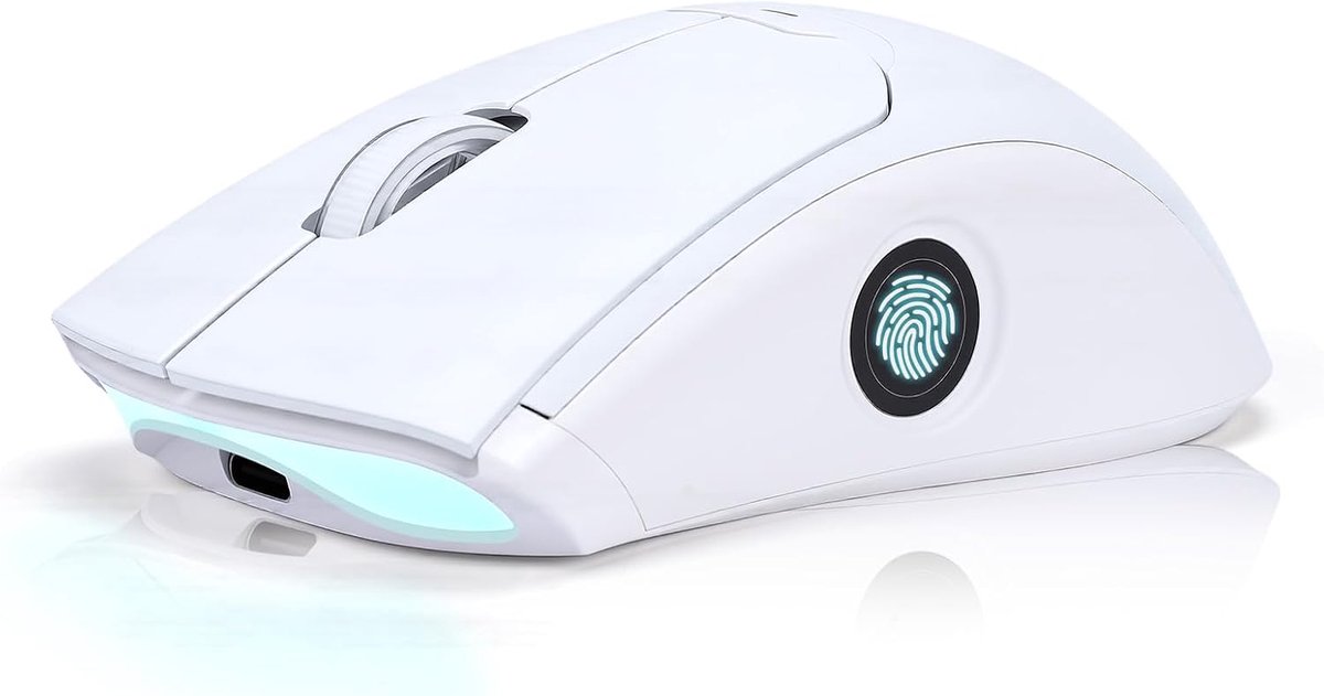 Gugxiom 2-in-1 Fingerprint Sensor & Wireless Mouse, Fingerprint Sensor for 7 8 10 11 Hello – Supports up to 20 IDs - ShopVlot