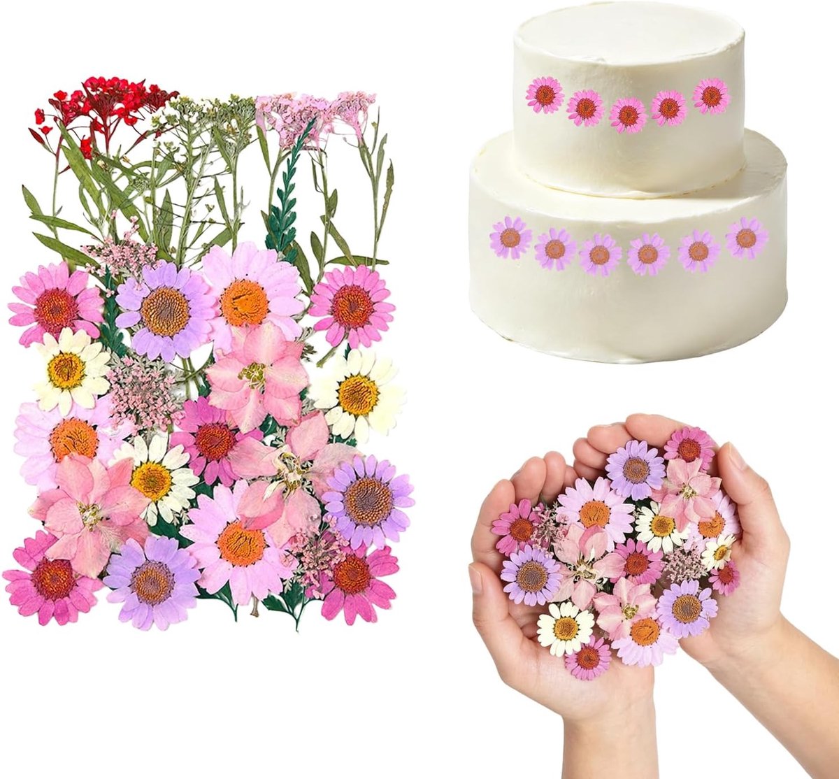 Gedroogde bloemen voor taarten 37 stuks - Natuurlijke gedroogde bloemen - Roze - Perfect voor decoratie - ShopVlot