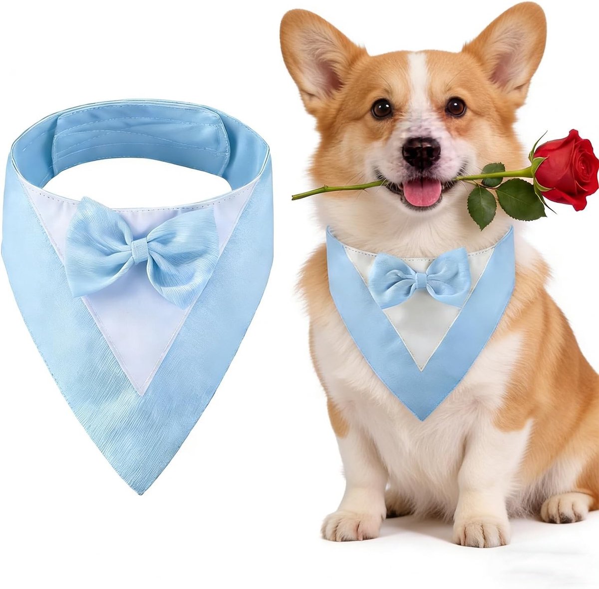 Hondenmok met Strik, Hondenhalsband voor Trouwen, Kostuum voor Honden op Feesten en Verjaardagen (Hals: 35-45cm, Blauw) - Perfecte Accessoires voor Hondenliefhebbers
