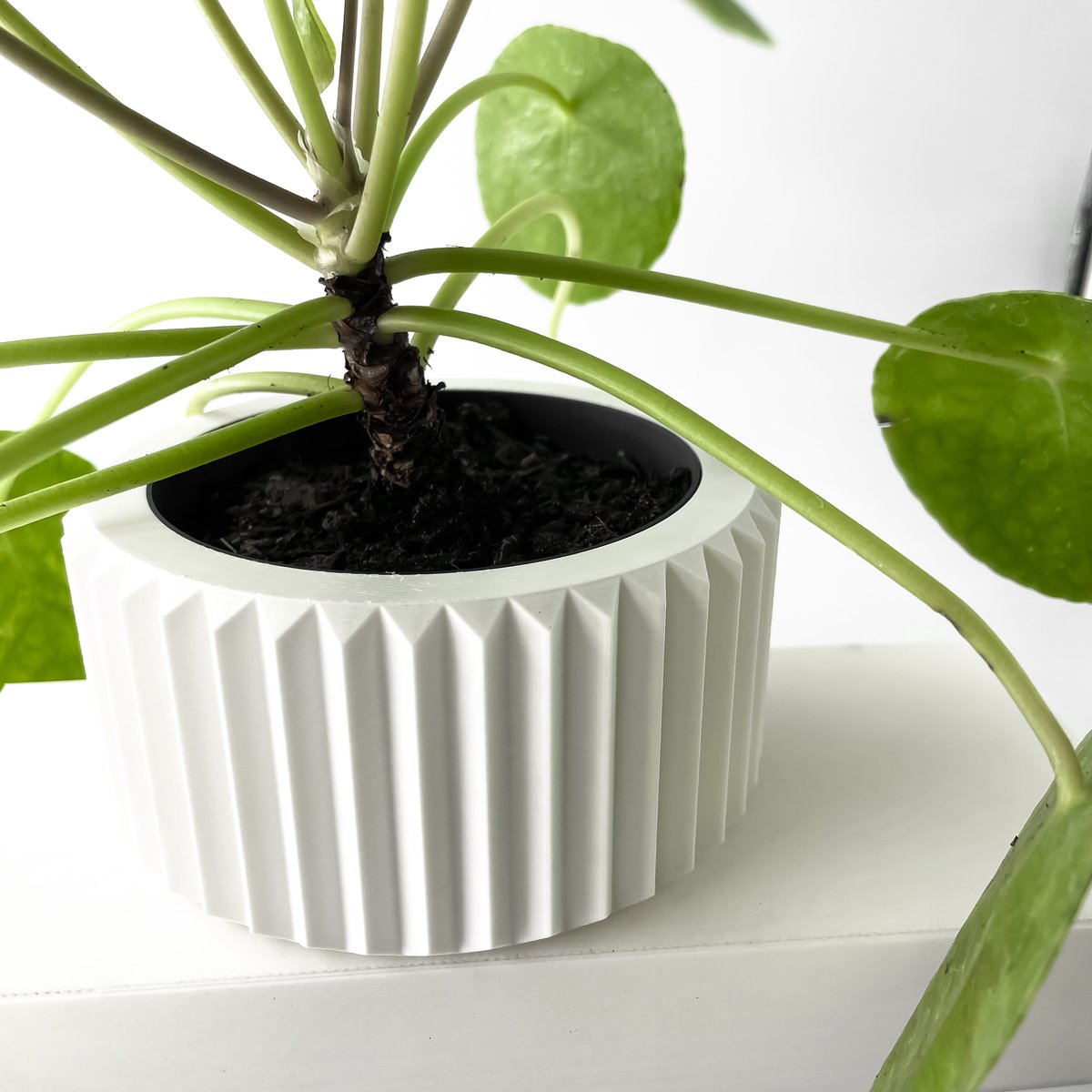 Skushy W20 Bloempot - Moderne Designpot voor Kamerplanten - Sculpturale Plantenpot voor Woonkamer en Kantoor - Premium Woondecoratie