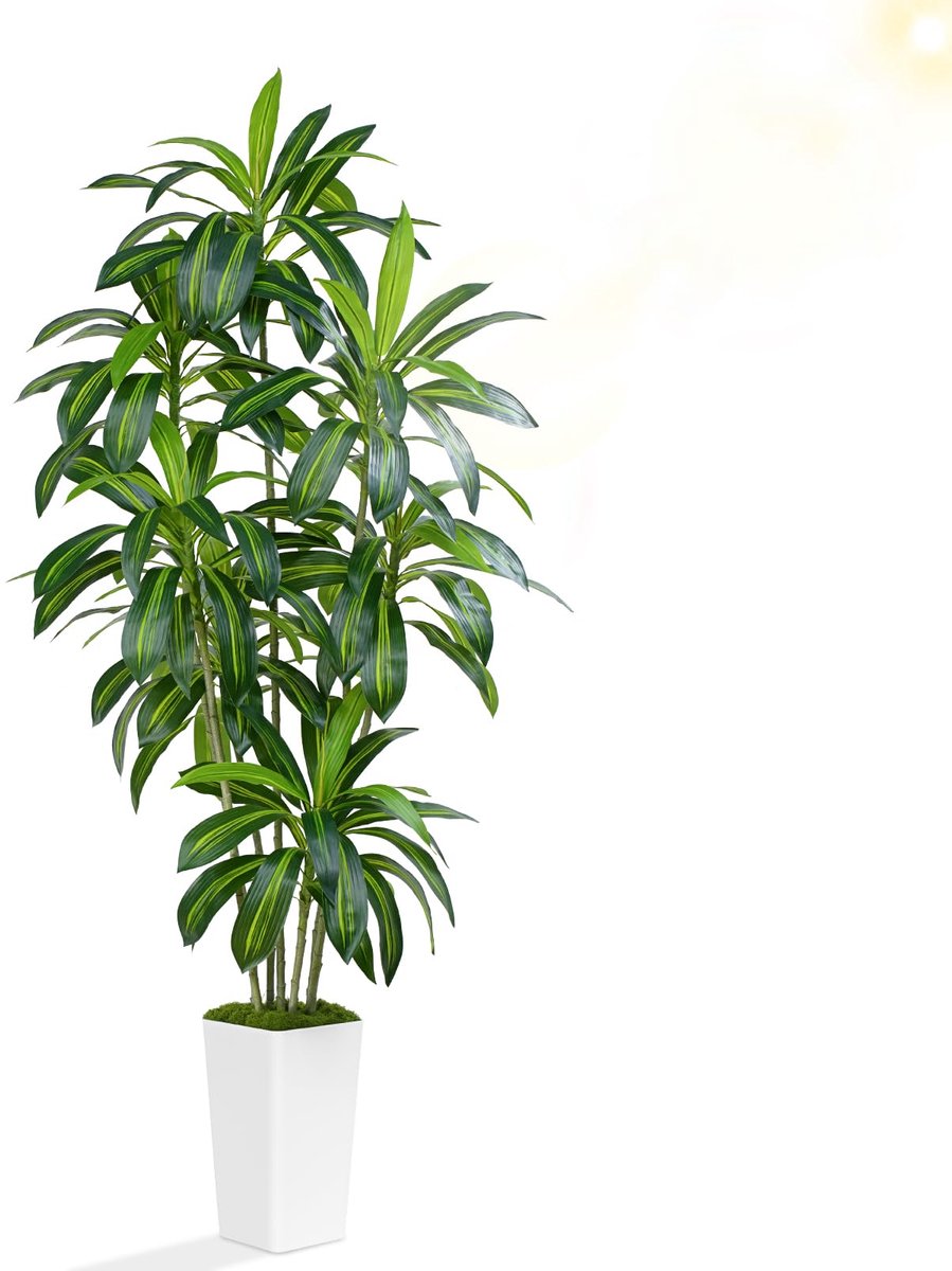 Kunstmatige Dracaena Plant - Nep Tropische Boom - Binnen Buiten Decoratie - Onderhoudsvrij Altijd Groen - 210cm Hoog - Wit
