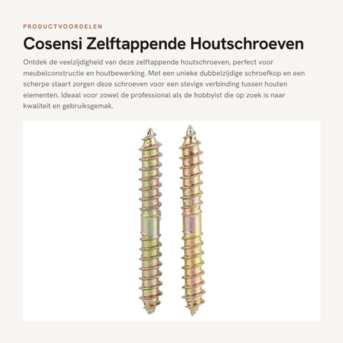 Houtschroeven 6x50mm - Zelftappende Schroeven - Zink Geplateerd - 10 Stuks - IJzer - Voor Meubelconstructie