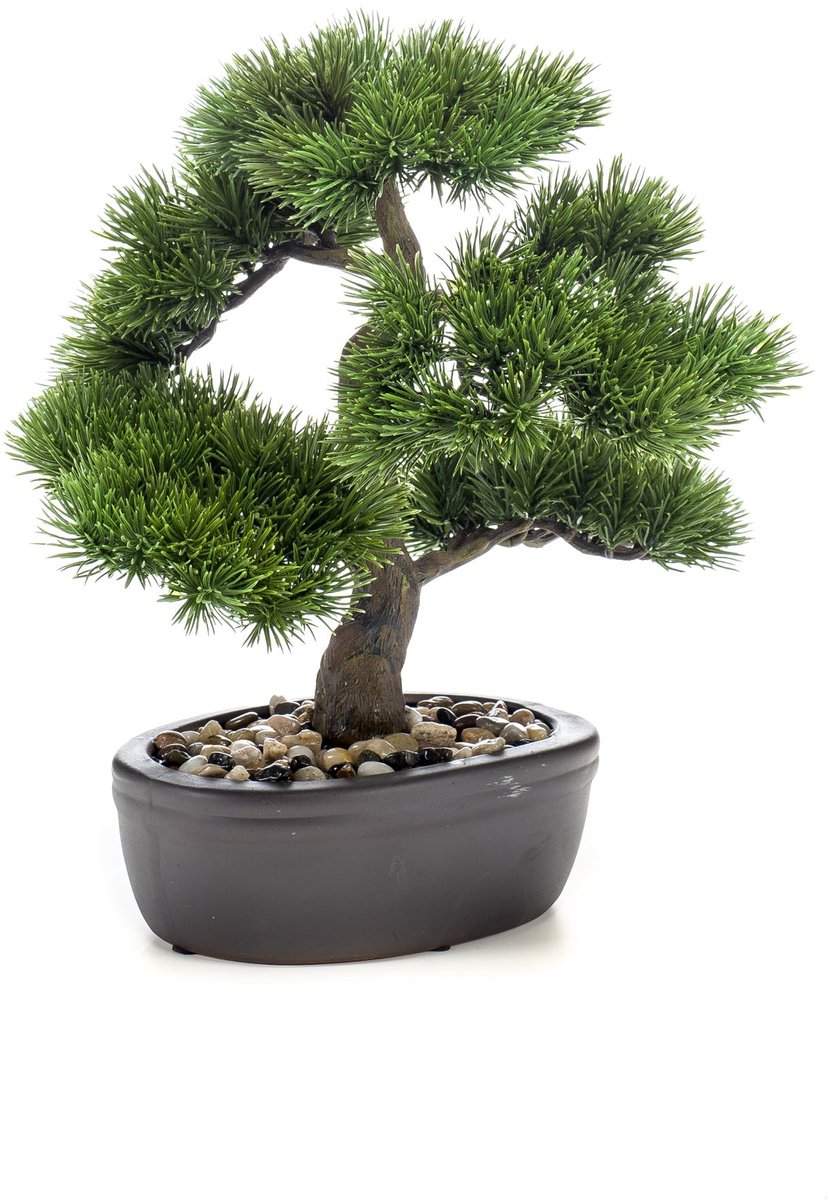 Emerald Kunstplant Bonsai Pinus 32cm - Kunstplant voor binnen Groen