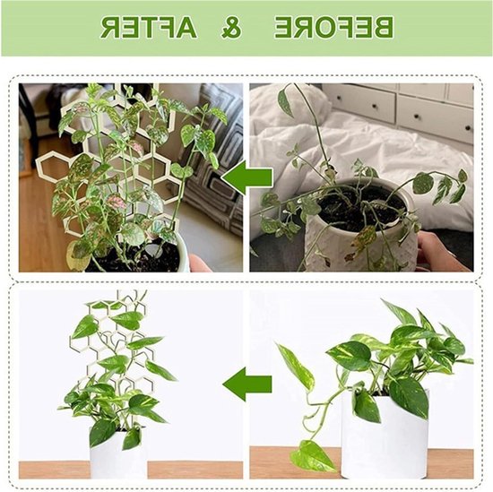 Vergelijking voor en na het gebruik van houten klimplantsteunen in een honingraatontwerp voor potplanten.