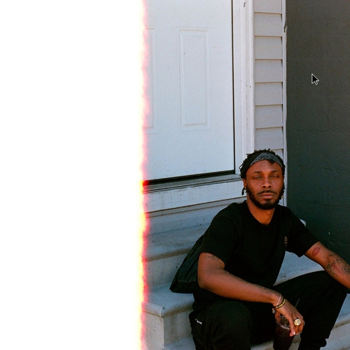 Jpegmafia - Veteran (LP)